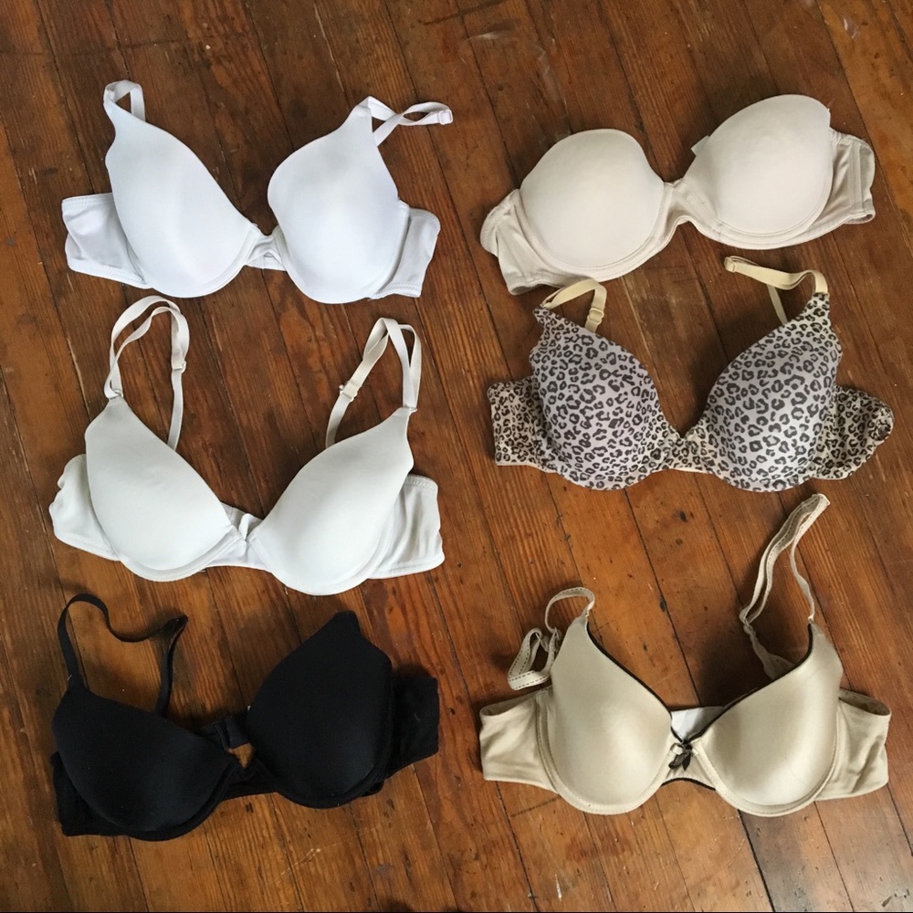 6 34B bras